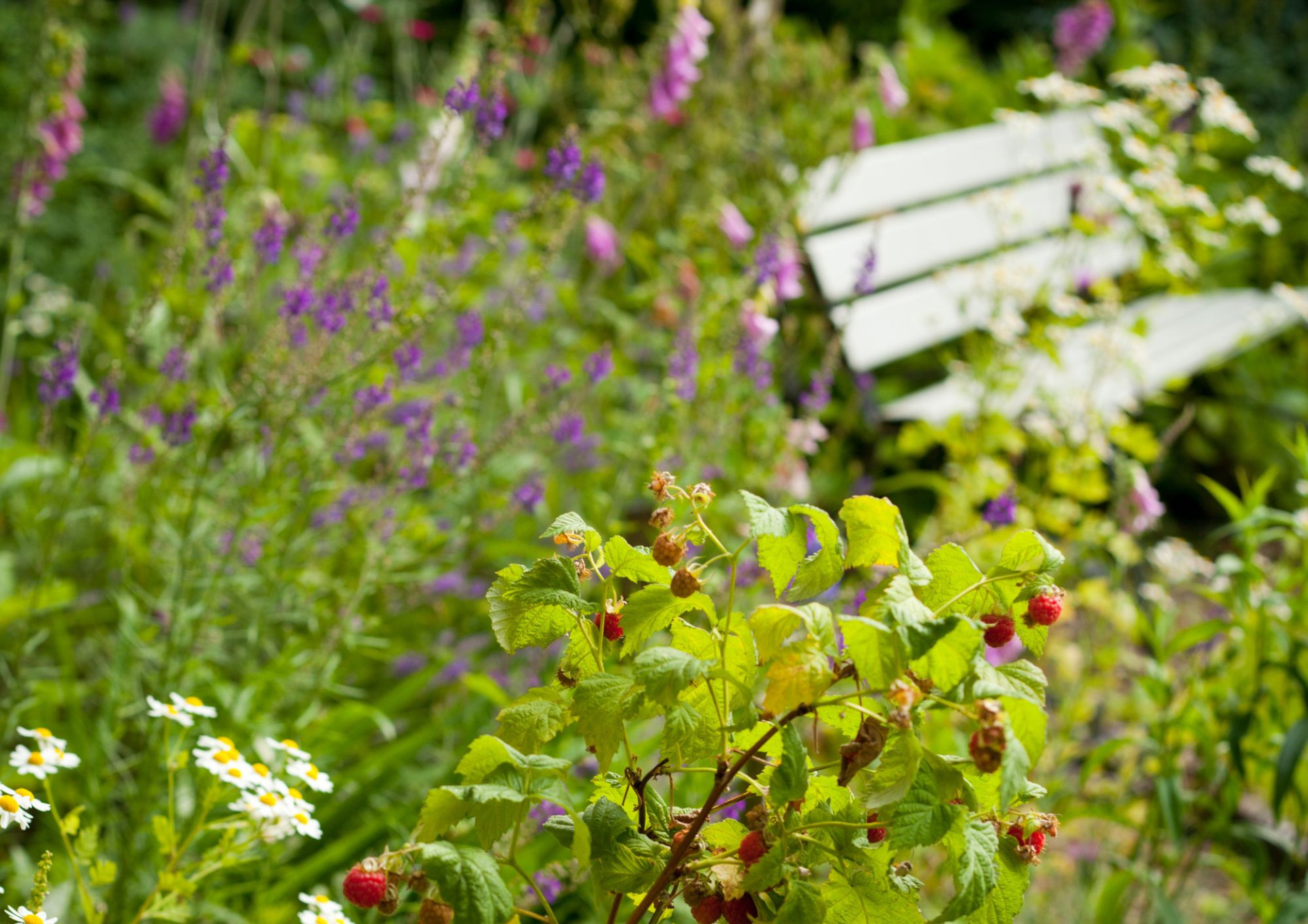 27.5.2026, 10,45h Přírodní zahrada- přdnáška
